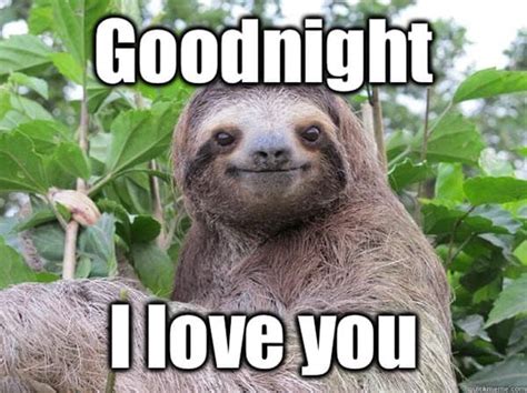 50 Cutest Goodnight Memes