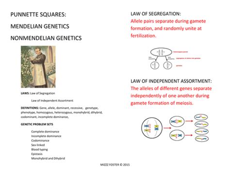 Our books collection saves in multiple locations, allowing you to get the most less latency time to download any of our books like this one. Genetics: Punnett Squares, Mendel, Non-Mendelian Student ...