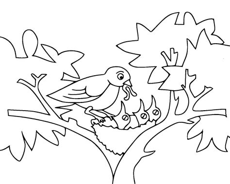 Baby Birds Coloring Page Free Printable Coloring Pages For Kids