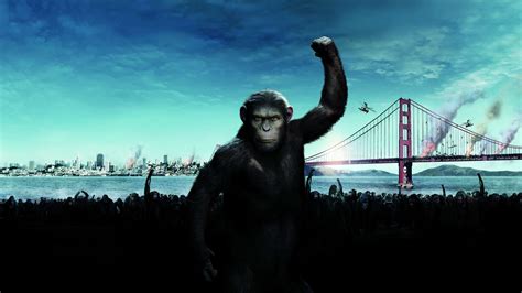 The transcendence of the normal in creatures so like ourselves is both an entertainment from the get go i was pleasantly surprised by rise of the planet of the apes. Rise of the Planet of the Apes (2011) - Afdah TV