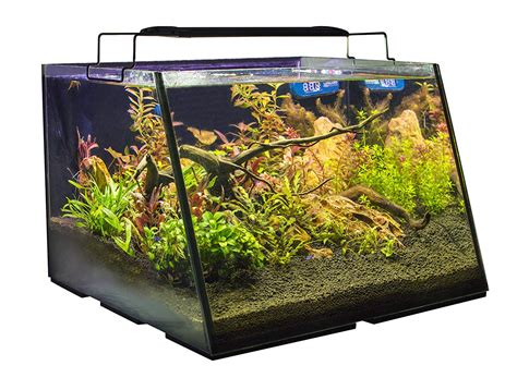The 10 Best 5 Gallon Fish Tanks Under 150 For Your Slippery Pets
