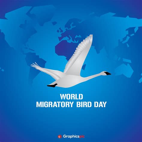 World Migratory Bird Day With Blue Background Free Vector Graphics Pic