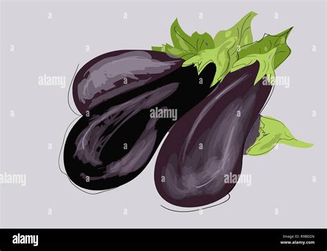 Three Eggplants With Leaves Vector Illustration Stock Vector Image