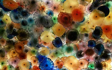 45 Colorful Jellyfish Wallpaper