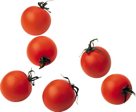 Download Tomato Png Image Hq Png Image In Different Resolution Freepngimg