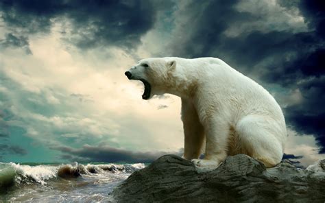 Polar Bear Growling Bear Images Bear Pictures Animal Pictures