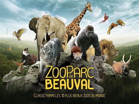 Zoo De Beauval Vacances Arts Guides Voyages