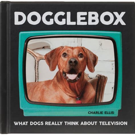 Dogglebox Dog Book Novelty Ts Bandm