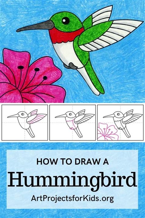 How To Draw A Hummingbird · Art Projects For Kids Drawing Lessons For