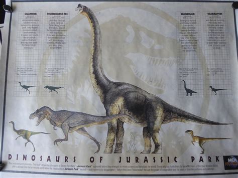 Image Jp1 Size Chart Jurassic Park Wiki Fandom Powered By Wikia