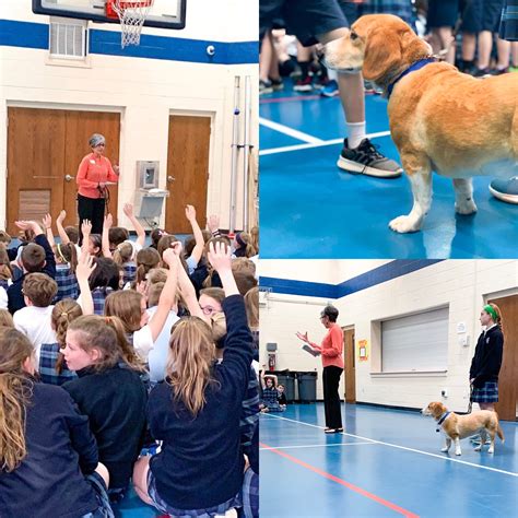 Introducing Newbies Isn’t Always Easy | Unleash Love