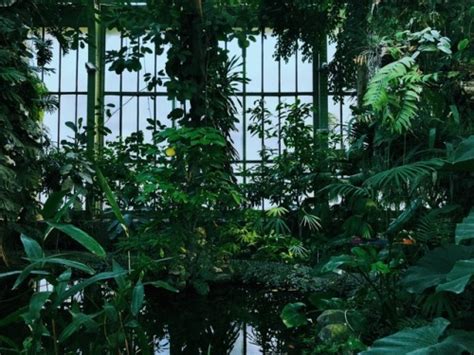 The Greenhouses Collection On Tumblr