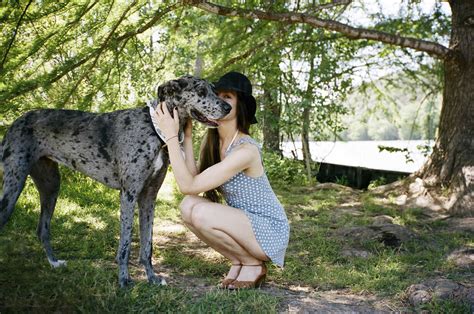 Full Length Of Woman Kissing Great Dane At Park Stock Photo