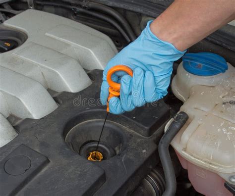 Checking The Oil Level In Car Stock Image Image Of Level Mechanic