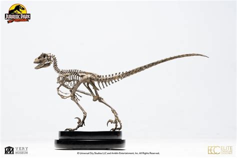 Jurassic Park Velociraptor Skeleton Bronze 18 Scale Statue Toynami