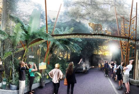 Crean Un Sky Walk En El Zoológico De San Antonio Para Ver A Los
