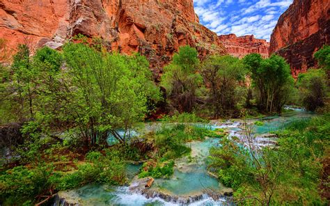 Canyon Oasis Photograph By Radek Hofman Pixels