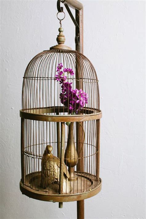 Diy Bird Cage Beautiful Bird Cage Ideas Pearl Gray