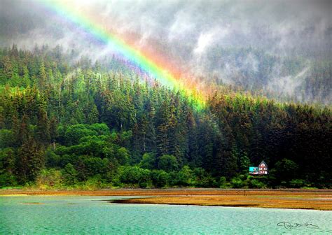 Rainbow Falling On Lone House In The Forest Photograph By Dan Barba