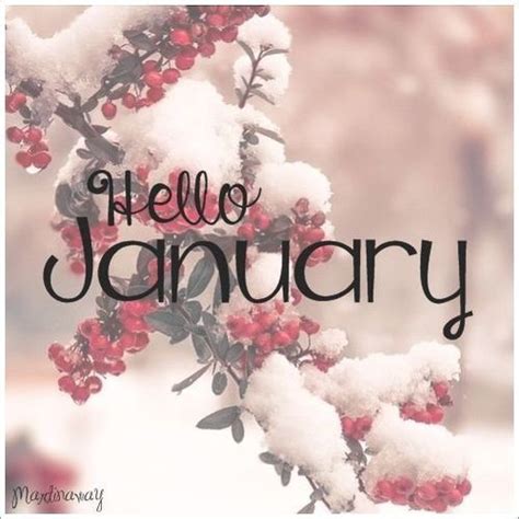 Hello January Seasons Months Days And Months Seasons Of The Year