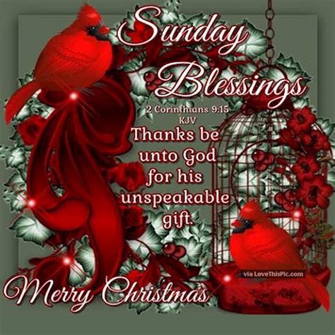 Sunday Blessings Merry Christmas Quote Pictures Photos And Images For