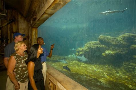 Aquarium Ushaka Seaworld Photo12 Africa Media Online