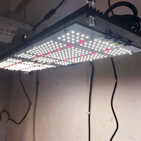 Revolutionary Way To Grow Plants By Using Led Grow Lights Central