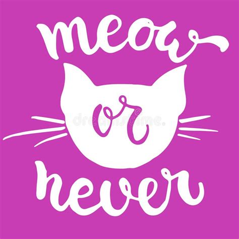 Meow Or Never Hand Drawn Lettering Phrase For Animal Lovers On The