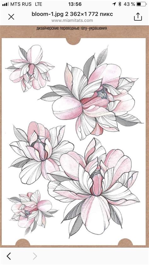 Pin By Maxie Jingles On Journal Ideas Flower Drawing Flower Tattoo