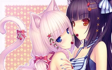 Wallpaper Illustration Nekomimi Anime Girls Cartoon Sayori Mangaka 3000x1875 Zehedu