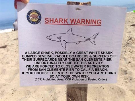 Social media users have been sharing a story online about a fisherman and a shark becoming good friends after the man saved the shark's life. Shark Warning Sign a Hoax | San Clemente Times