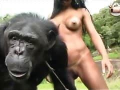 С обезьяной трахаются две девушки на природе зоо порно с животными