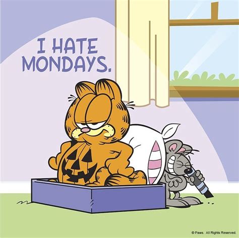 Garfield Monday Garfield Quotes Garfield Pictures Garfield Cartoon