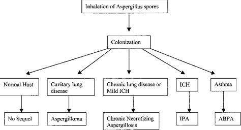 Table 1 From The Clinical Spectrum Of Pulmonary Aspergillosis