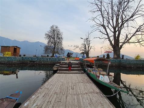 Nigeen Lake Srinagar 2020 What To Know Before You Go With Photos