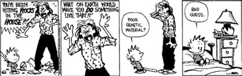 Calvin And Hobbes Calvin S Mom S 10 Biggest Freakouts