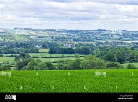 Rolling green pastures hi-res stock photography and images - Alamy