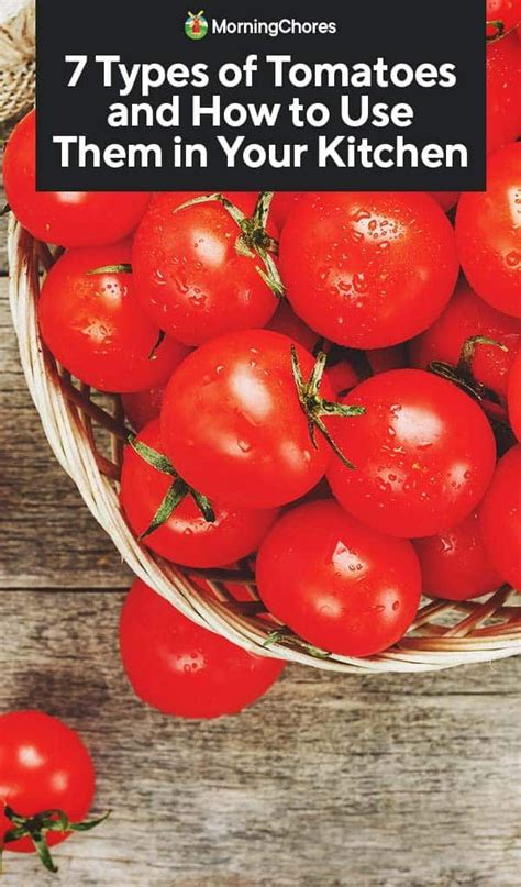 7 Types Of Tomatoes And How To Use Each Of Them Types Of Tomatoes