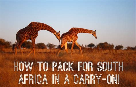 Travel Tips Safari Cape Town 2 Weeks Carry On South Africa