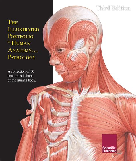 The Illustrated Portfolio Of Human Anatomy And Pathology Scientific