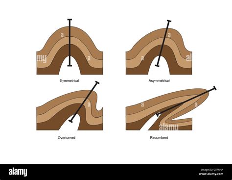Diagrams Of Geological Folds Stock Photo Alamy