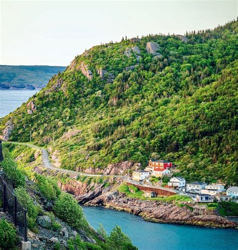 This Random Act Of Kindness In Newfoundland Will Warm Your Heart