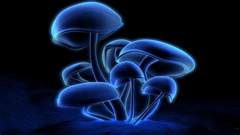 Blue Mushroom Desktop Wallpapers Wallpaper Cave
