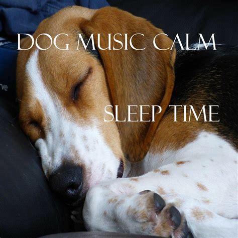 Sleep Time Dog Music Calm Mp3 Buy Full Tracklist