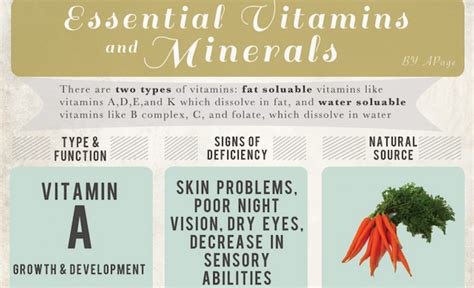 12 Essential Vitamins And Minerals That You Should Be Eating