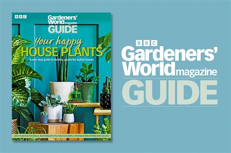 How To Grow Welsh Onions Bbc Gardeners World Magazine