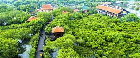 Jam Buka Dan Harga Tiket Masuk Hutan Mangrove Gunung Anyar Surabaya