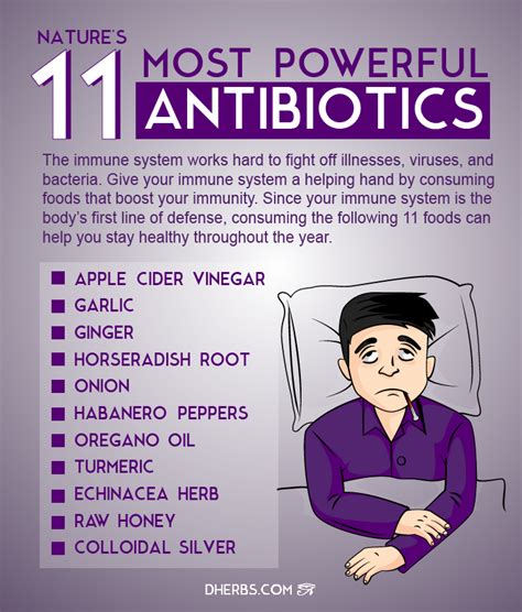 Infographic Natures 11 Most Powerful Antibiotics Dherbs Herbal