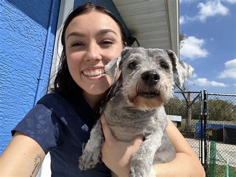 Home Gallery 3 | Markham Woods Animal Hospital