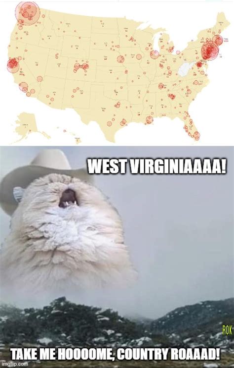Image Tagged In Country Roads Cat Imgflip